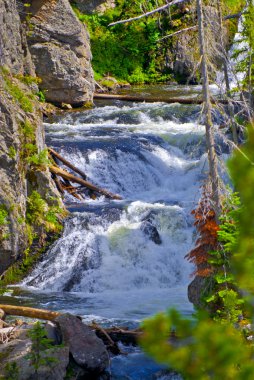 Yellowstone çağlayan