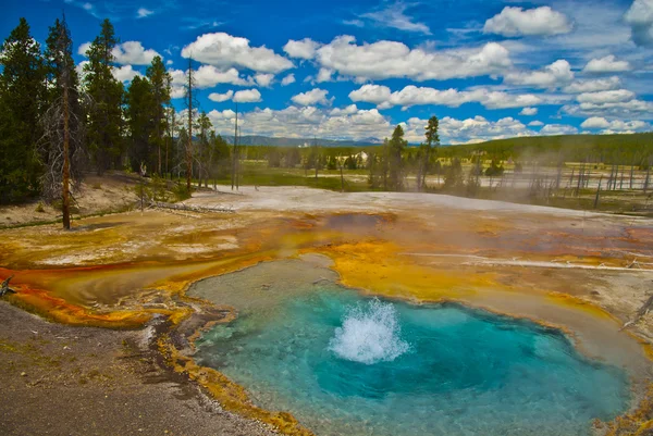 stock image Boiling geyser