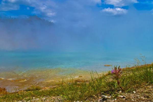 Grande Primavera Prismática Yellowstone — Fotografia de Stock