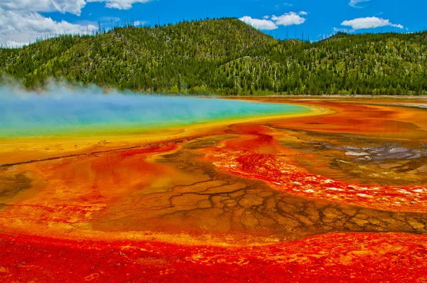 Yellowstone Grand призматичних весни — стокове фото