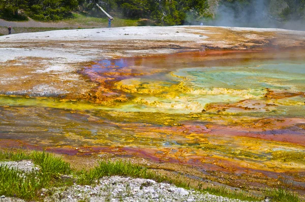 Bactérias Geyser — Fotografia de Stock