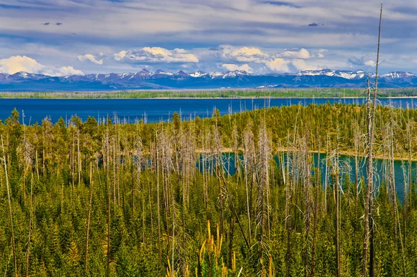 Yellowstone озеро — стокове фото