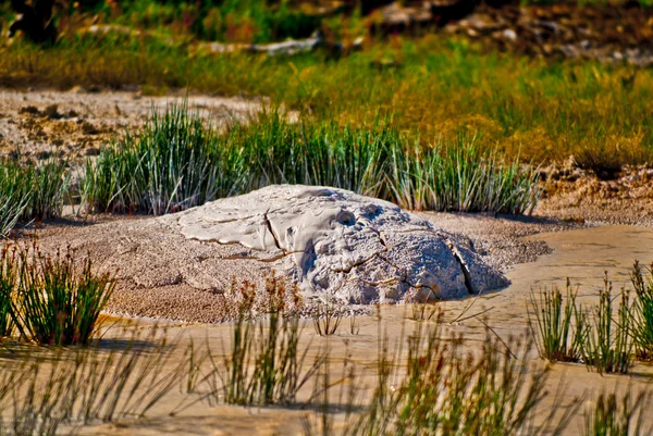 Mud Vulcano Yellowstone — Stock Photo, Image