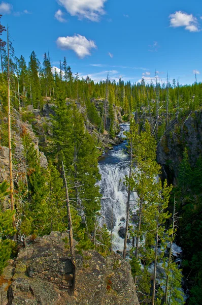Yellowstone Cascade Royalty Free Stock Images