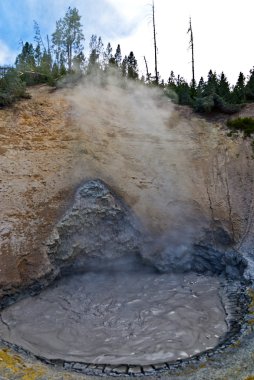 Dragon's ağız bahar