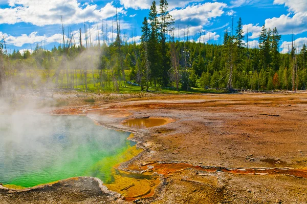 Piscinas termales Yellowstone — Foto de Stock