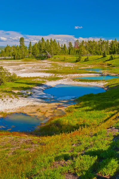 Yellowstone термальні басейни — стокове фото