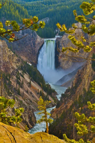 Lowe Yellowstone Falls — Stock Photo, Image