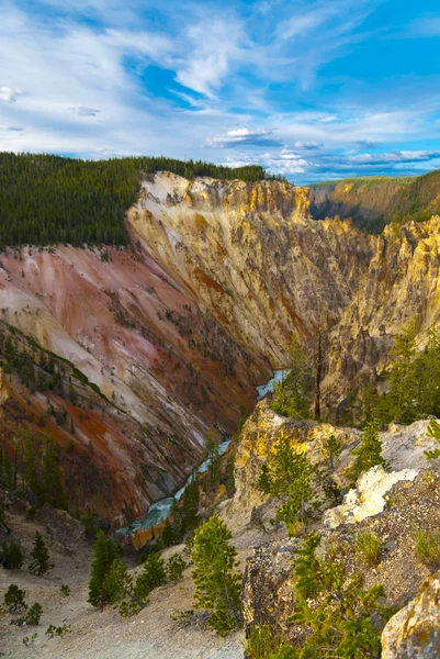 Vista de Lower Falls em Yellowstone — Fotografia de Stock
