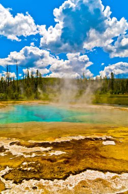 Yellowstone Geyser clipart