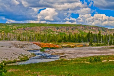 Yellowstone Landscape