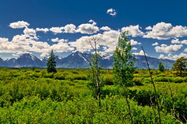 Grand tetons dağ manzarası