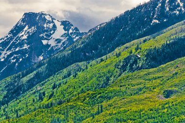 Grand tetons dağ manzarası