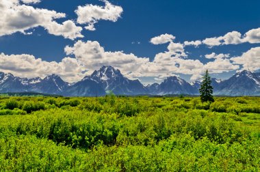 Grand tetons dağ manzarası