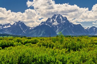 Grand tetons dağ manzarası