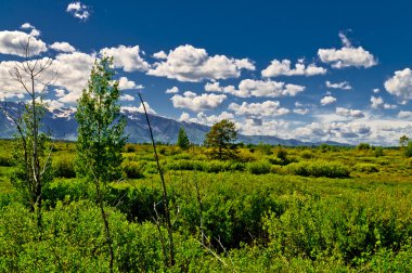 Grand tetons dağ manzarası