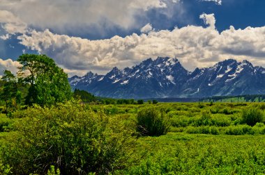 Grand tetons dağ manzarası