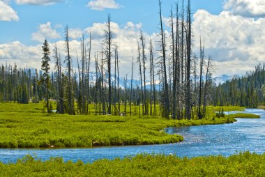 Grand tetons peyzaj