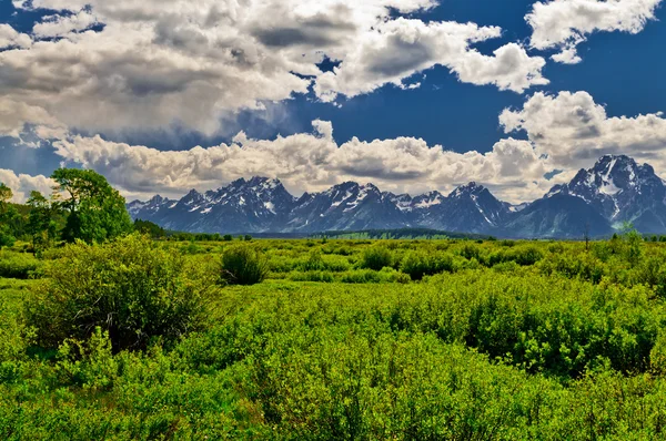 Paisaje de las montañas Grand Tetons — Foto de Stock