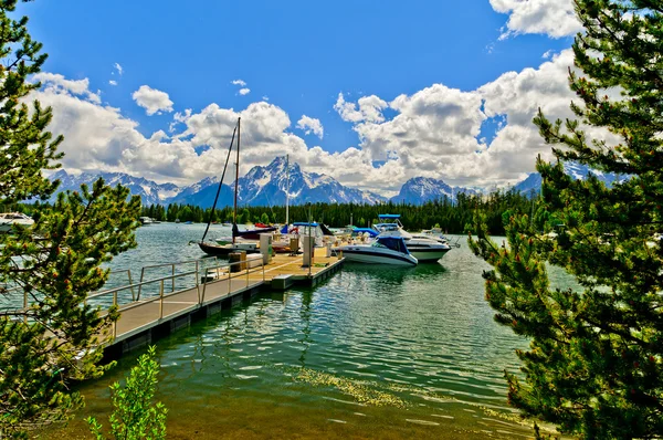Colter bay marina op jenny lake — Stockfoto