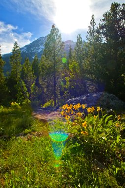 Tetons against the sun clipart