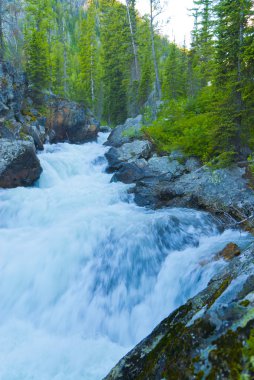 Art arda sıralı creek hibe teton Milli Parkı