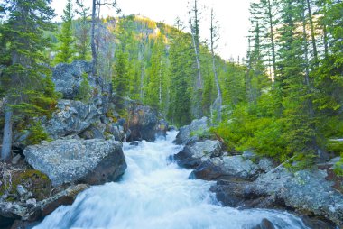 Art arda sıralı creek hibe teton Milli Parkı