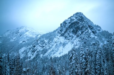 Alpental at Snoqualmie pass Winter Mountain Landscape clipart