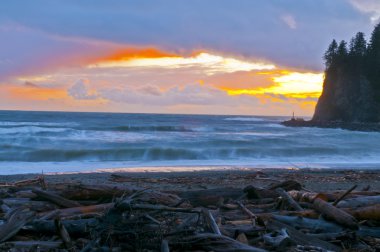 La push plaj washington forks