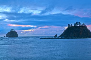 La Push Beach Forks Washington clipart