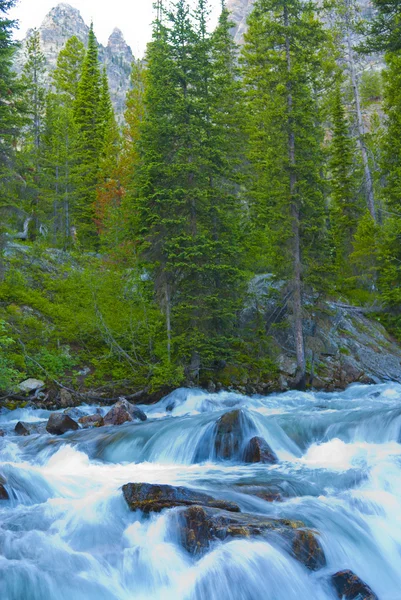 Parque Nacional Cascade Creek Grant Teton — Fotografia de Stock