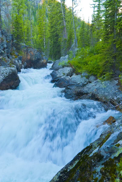 Parque Nacional Cascade Creek Grant Teton — Foto de Stock