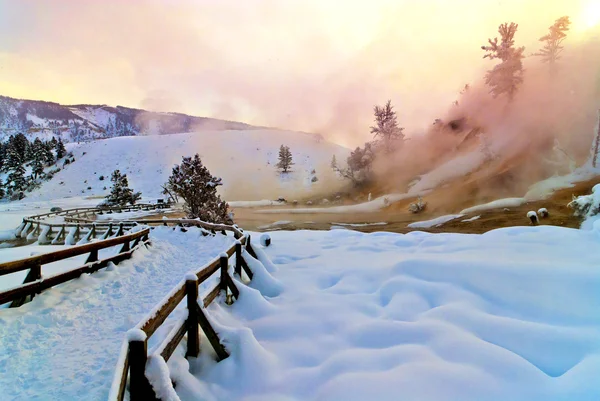 Mammoth Hot Spring Terraces — Stock Photo, Image