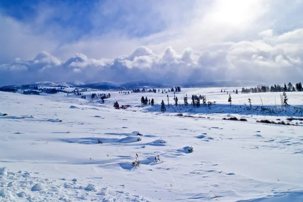 Зимний Йеллоустонский пейзаж — стоковое фото