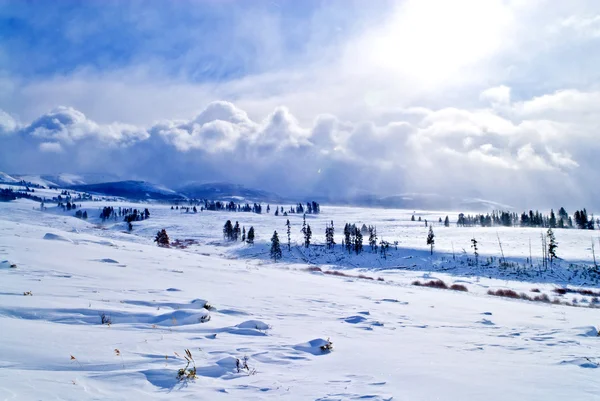 Paisaje de invierno Yellowstone —  Fotos de Stock