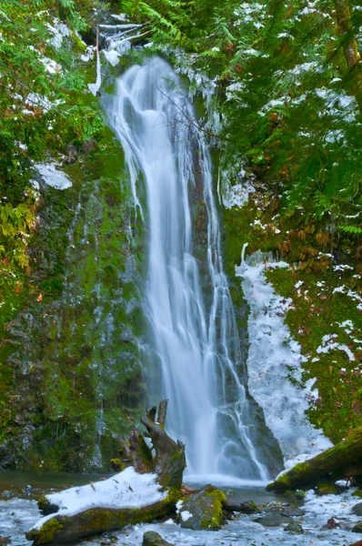 Madison Creek Falls, Olympic National Park — Stockfoto