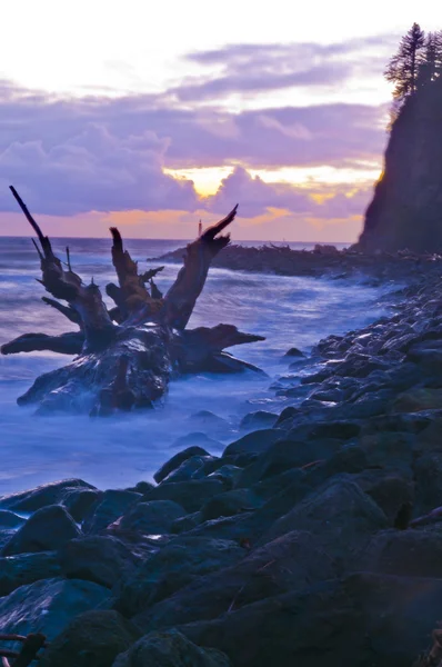 La playa push forks washington — Foto de Stock