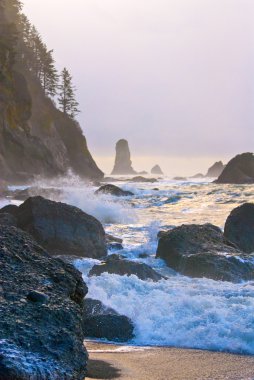 La push plaj