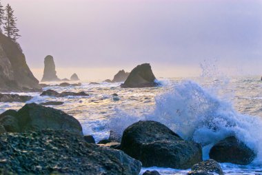 La push plaj