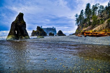 Ruby Beach clipart