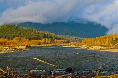 quinault Nehri