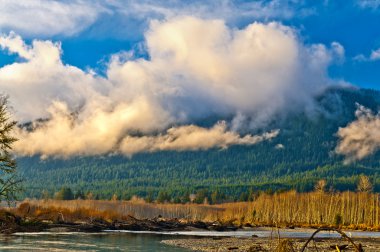 quinault Nehri