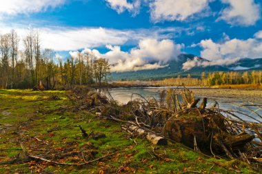 quinault Nehri