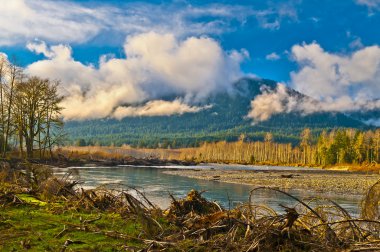 quinault Nehri