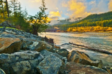 quinault Nehri