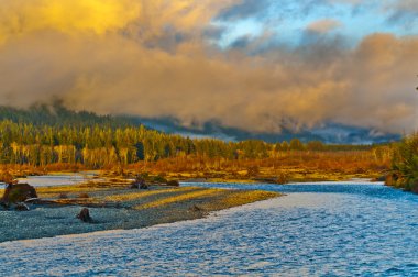 quinault Nehri