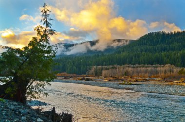 quinault Nehri