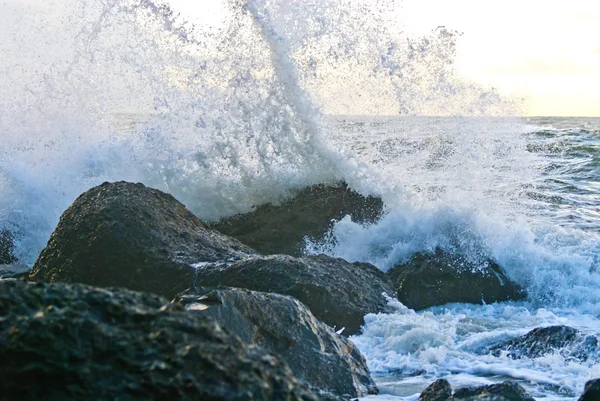 stock image La Push Beach