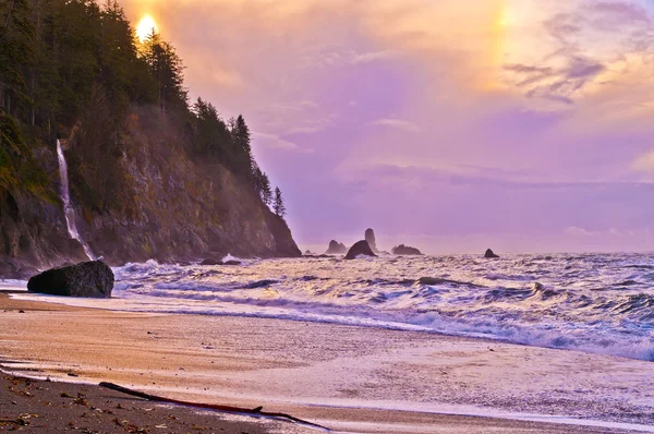 stock image La Push Beach