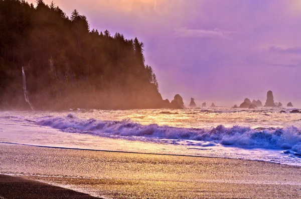 stock image La Push Beach